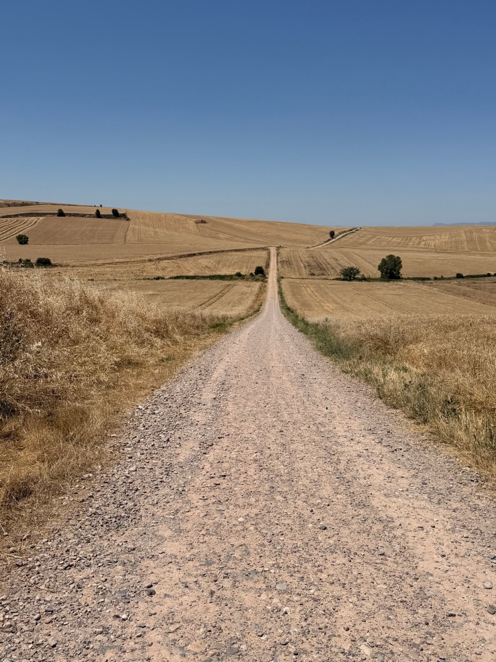 Day 14: Nájera to Santo Domingo de la&nbsp;Calzada