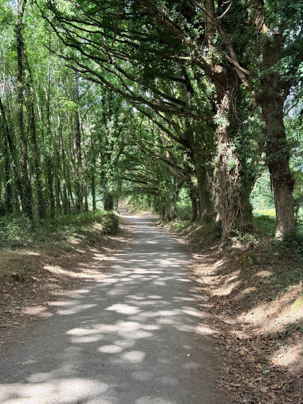 Day 48 through 51: Portomarin to Ligonde to O Coto to&nbsp;Arzua